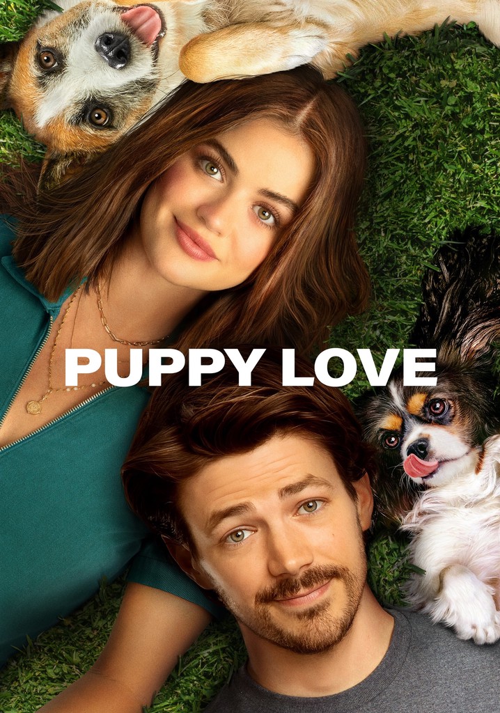 Puppy Love filme Veja onde assistir online